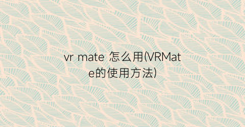 vrmate怎么用(VRMate的使用方法)